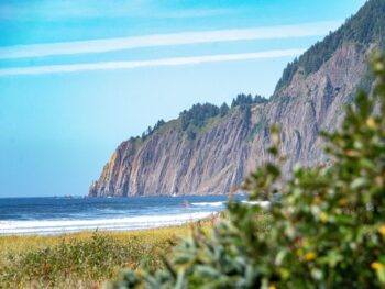 beach surrounded by cliffs