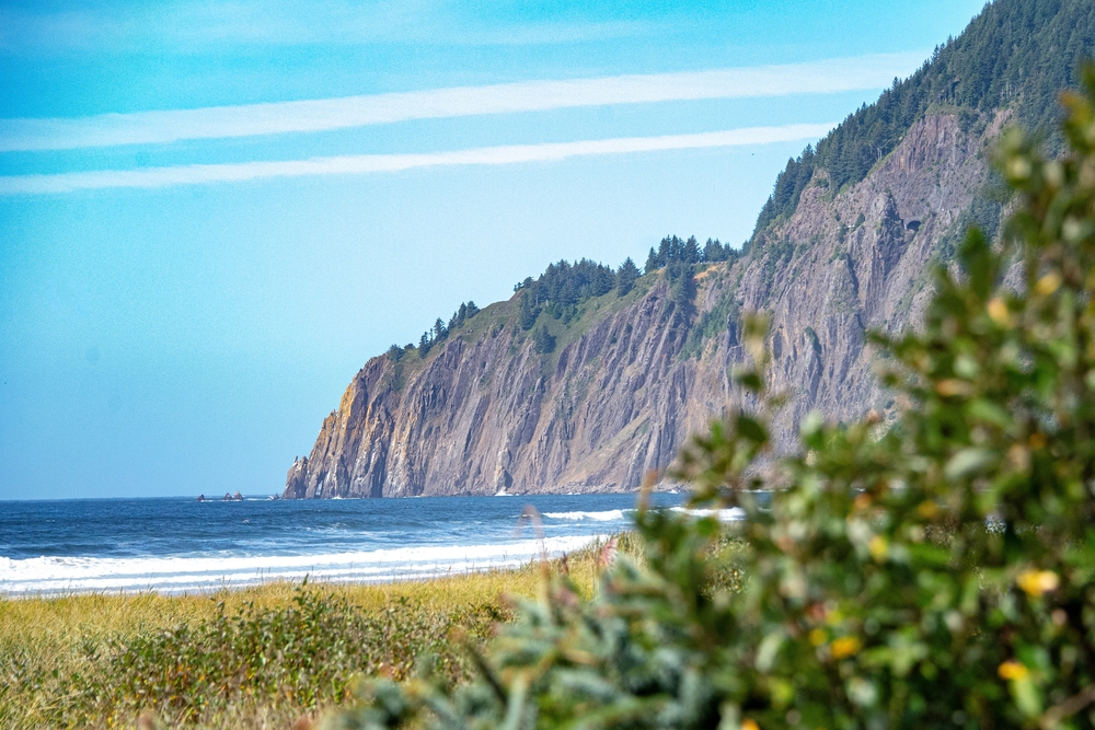 beach surrounded by cliffs