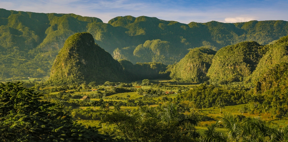 Green mountainous aerial view