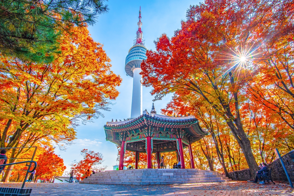 tower and a pavilion surrounded by trees