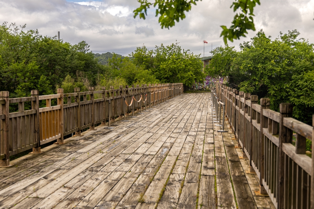 battered old bridge surrounded by trees