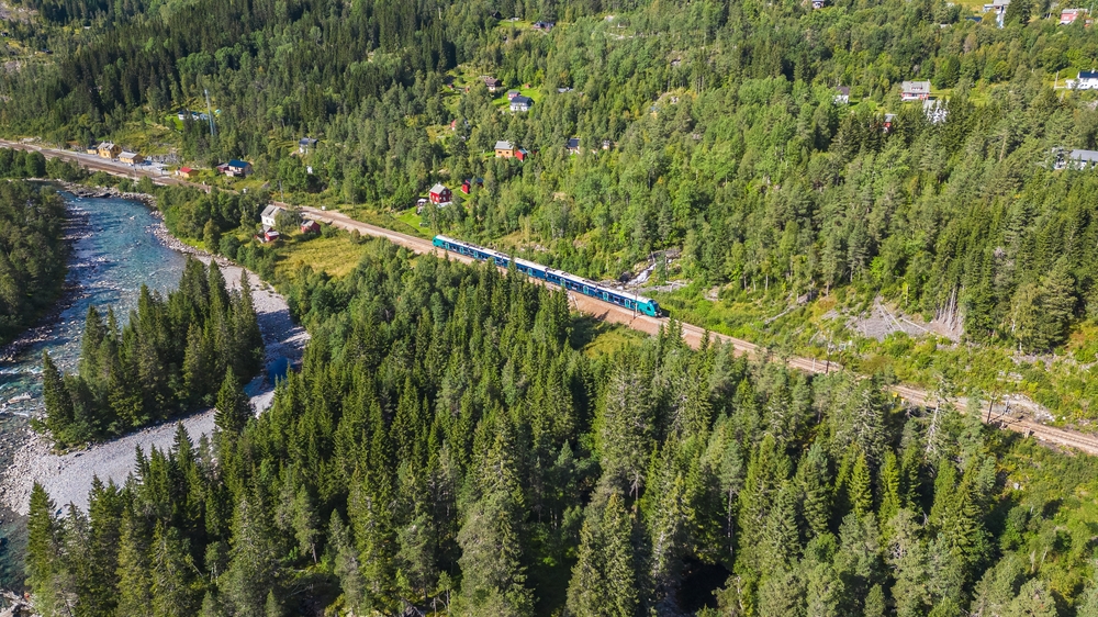 aerial view of a blue colored train passing between trees european train trips