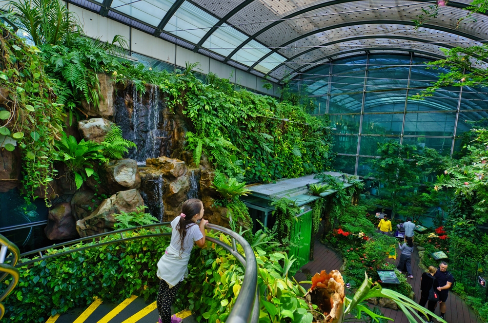 little girl looking over railing surrounded by green foliage + people walking below.
