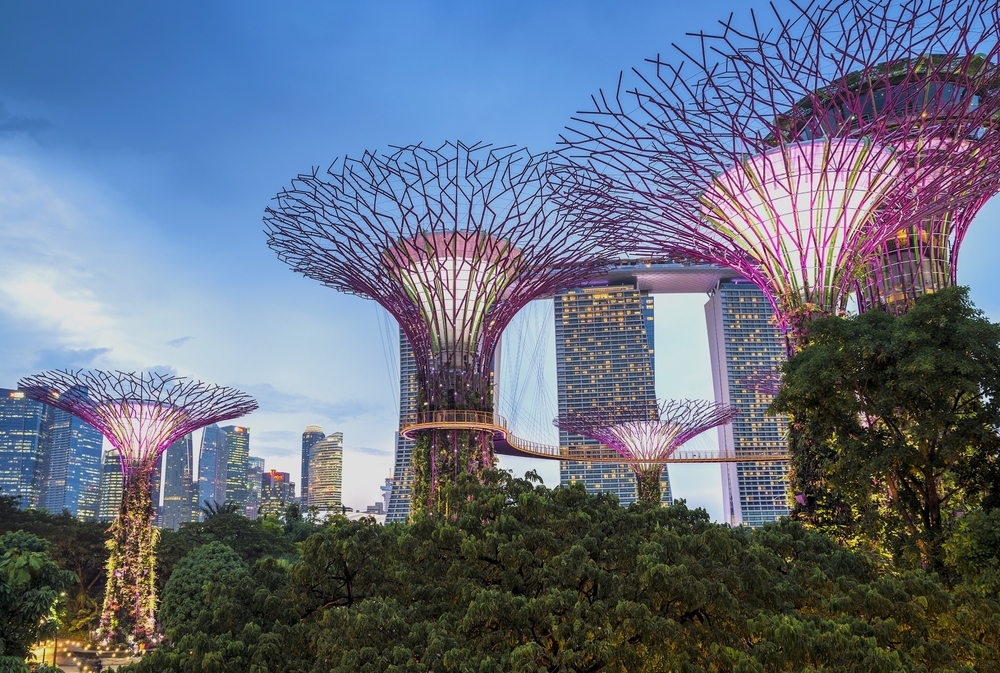 flower type big structures lit up at night with buildings in the backdrop traveling to singapore