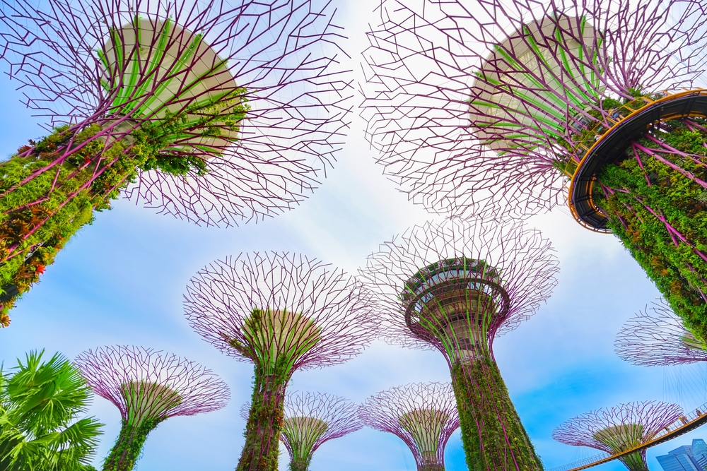 view of the tree like garden