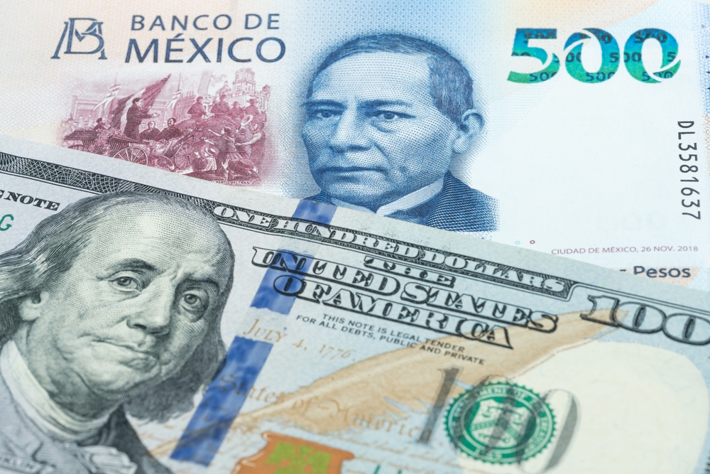mexican peso and usd notes