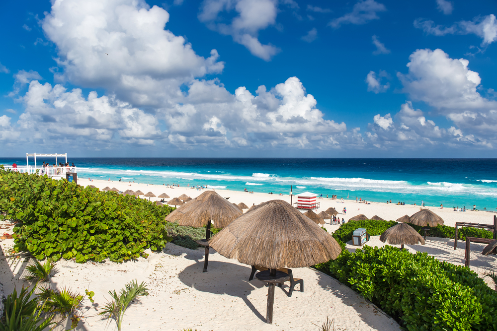 beach with umbrellas and shrubs