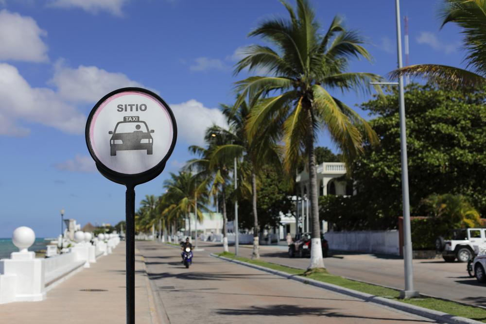 taxi sign beside a road