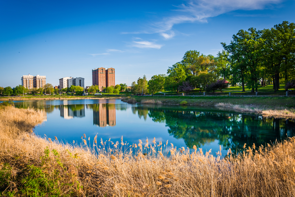 grasses and buildings along a lake things to do in baltimore beyond the inner harbor